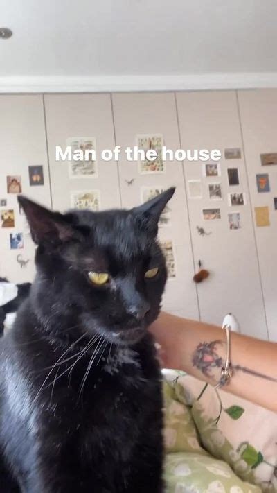 Ramona Marquez Princess Mo Nude Fapullo