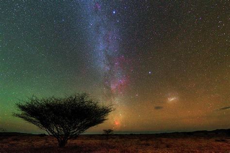 Night Sky Over A Savanna Photograph By Babak Tafreshi