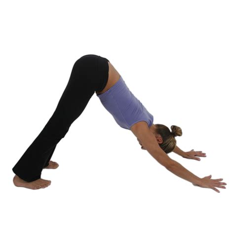 Downward Facing Dog Pose | Yoga Asanas for Beginners | Divinity Mag