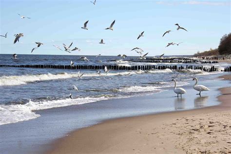 Baltic Sea, Poland | Poland, Baltic sea, Travel