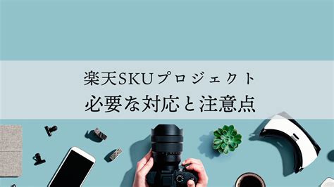 楽天SKUプロジェクト必要な対応と注意点を徹底解説プロECD2C総合支援 ネイビーコンサルティング