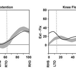 Three-dimensional gait analysis of a child with spastic cerebral palsy... | Download Scientific ...