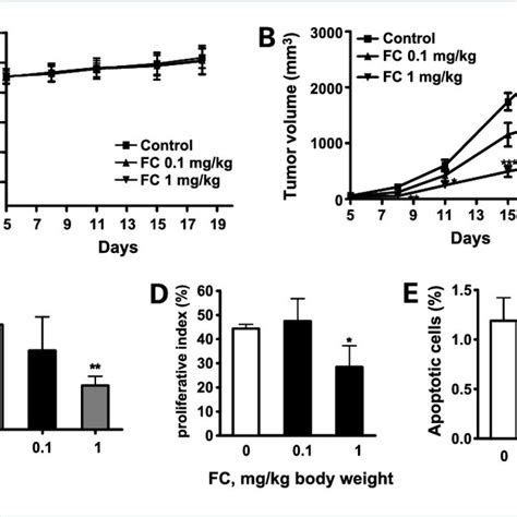 Effect Of Fc On The In Vivo Growth Of Llc Allograft Tumors In Mice And