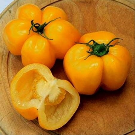 Yellow Stuffer Tomato Seeds Price 2 00