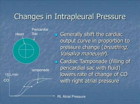 Ppt Cardiac Output Powerpoint Presentation Free Download Id226158