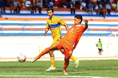 Correcaminos Y Tigres Dividen Puntos