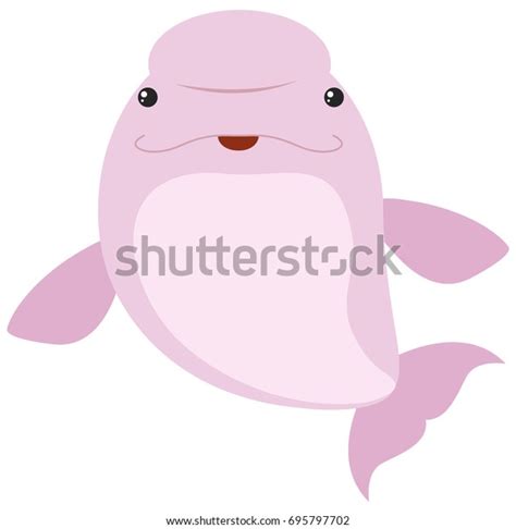 Pink Beluga Whale On White Background Stock Vector (Royalty Free ...