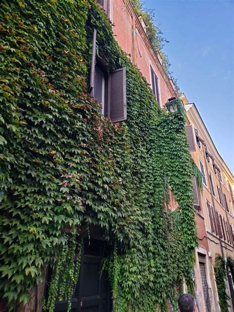 Rome Alley Structures Plants Plant Planets Rome Italy