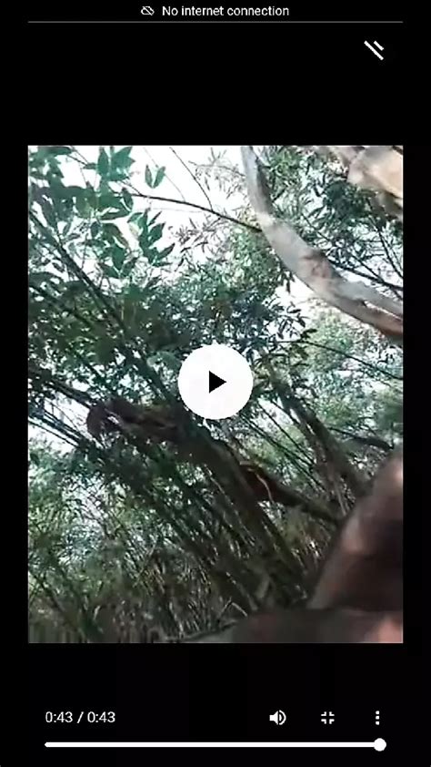 Vídeos Gay de porno Ejercito xHamster