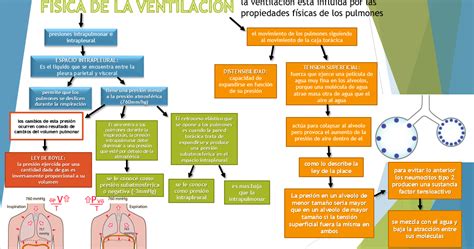 Yetzalizavalablogdefisiologia Gpo F Sica De La Ventilaci N