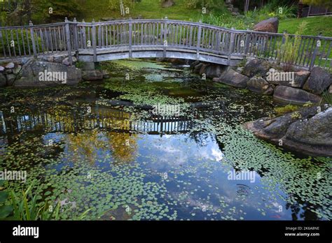 Bridge Over Koi Pond Stock Photo Alamy