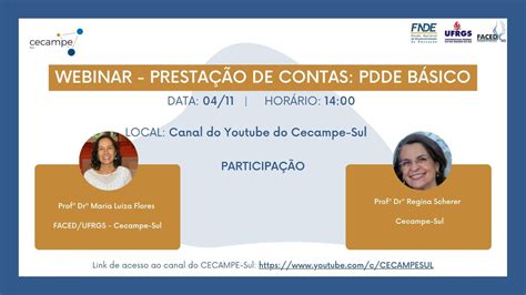 O Cecampe Sul Promove Webinar Sobre A Prestação De Contas Do Pdde