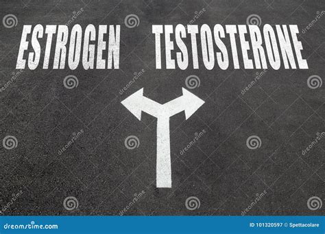 Estrogen Vs Testosterone Choice Concept Stock Image - Image of ...