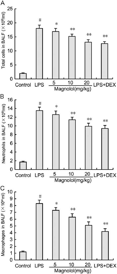 Effects Of Magnolol On The Number Of Total Cells Neutrophils And