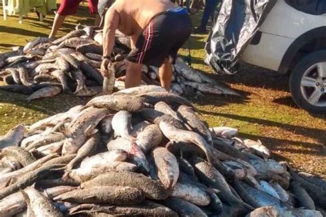 Mais De Mil E Tainhas S O Capturadas Em Penha Oi Sc