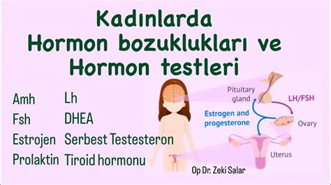 Kadınlarda Hormon Testleri ne zaman nasıl ve ne için yapılır Kadın