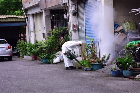 小黑蚊肆虐 花蓮市找廠商專責處理（3） 圖