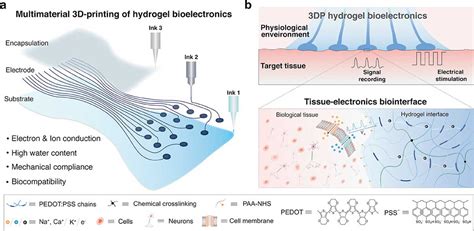 3D Printed Conductive Polymer Hydrogels Enable Implantable Bioelectronics