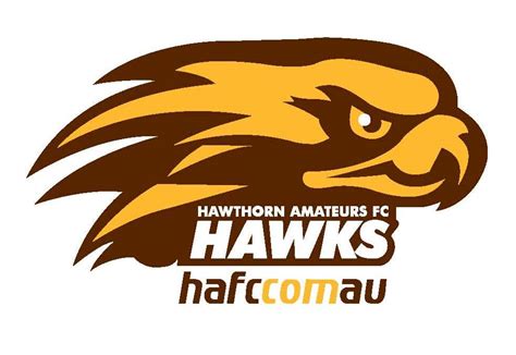 Hawthorn Amateur Football Club | VAFA