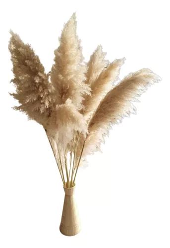 10 Capim Dos Pampas Plumas P Decoração De Alta Qualidade