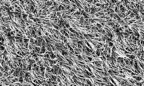 Frozen Grass Texture Seamless 19672