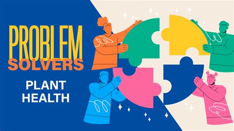 Treating irrigation water in NFT systems - Produce Grower