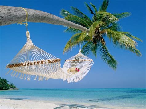 Oh My Beach Hammock Hammock Beautiful Beaches