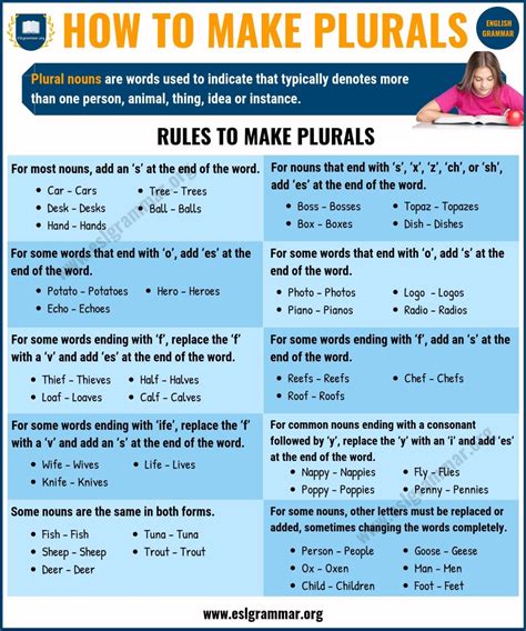 Sentences With Irregular Plural Nouns