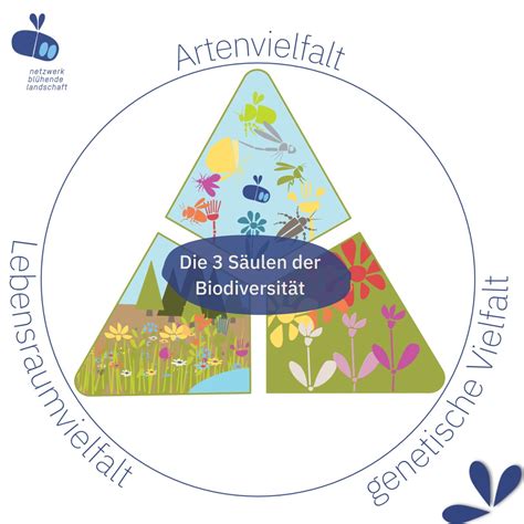 Biodiversität ist mehr als Artenvielfalt Blühende landschaften