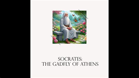 Socrates: The Gadfly of Athens || History of Philosophers #5 - YouTube