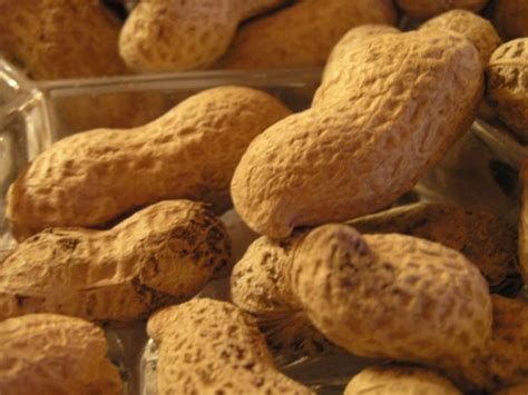 Researchers Confirm Eating Peanut Early On Reduces Risk Of Peanut