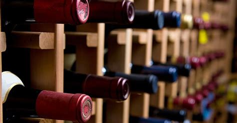 ruou nao la ruou chang  cac nha khoa hoc da  cau tra loi