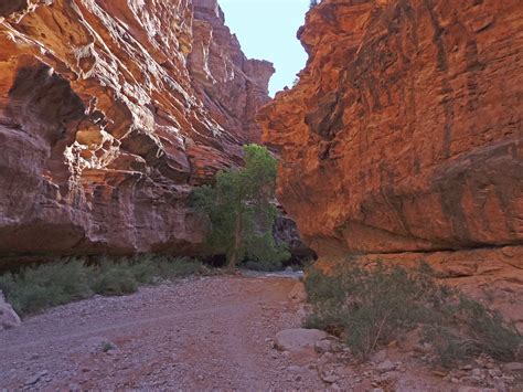 The Great Silence: The Silence of Supai (Arizona Series)