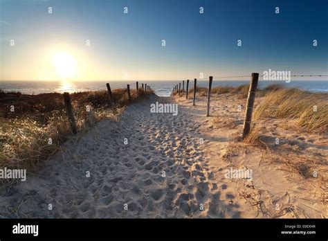 Path On Sand To North Sea Beach In Sunset Zandvoort Aan Zee North