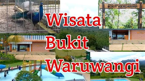 WISATA BUKIT WARUWANGI PADARINCANG SERANG BANTEN YouTube