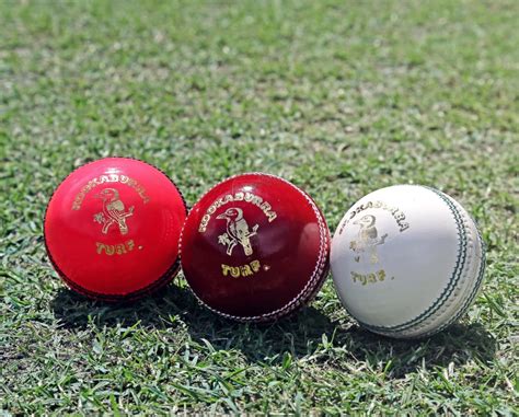 5 Best Cricket Balls in 2024 - Jaxtr