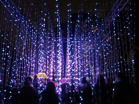 Kew Gardens Christmas Lights 2025 Dates Orla Thechers