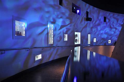 Frost Science Museum | DCL