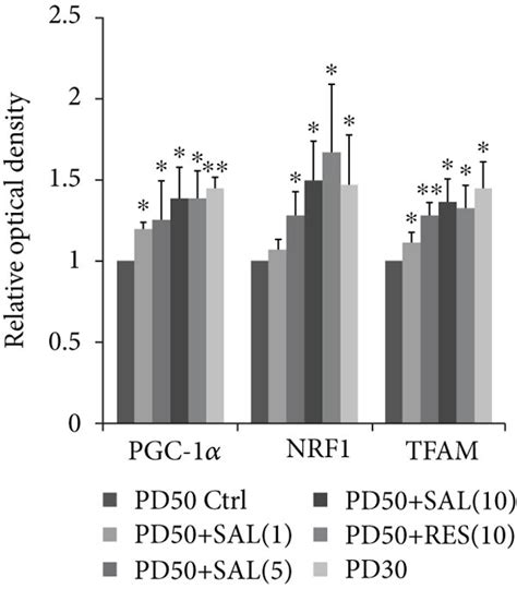 Effect Of Salidroside Sal On The Mitochondrial Biogenesis Associated