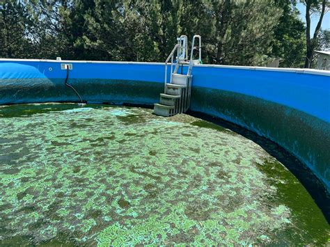 The Comfort Center (St. Joseph, MO) | Saint Joseph MO