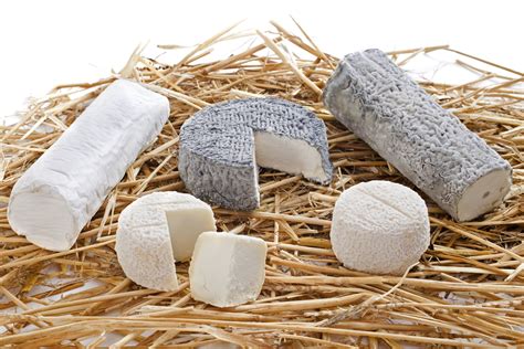 Ch Vre Tout Savoir Sur Le Fromage De Ch Vre