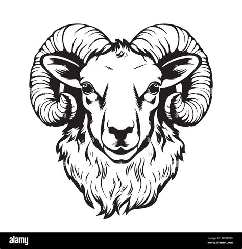 Mountain Ram Face Logo Hand Drawn Sketch Vector Stock Vector Image