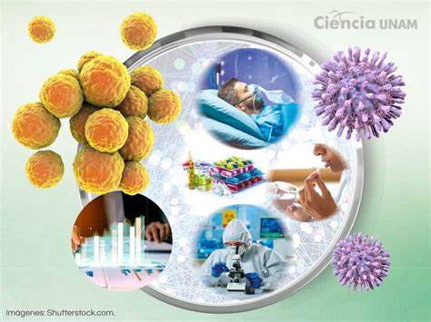 Buscas Informaci N Sobre Bacterias Resistentes A Los Antibi Ticos