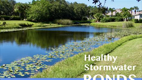 Are Your Ponds Healthy