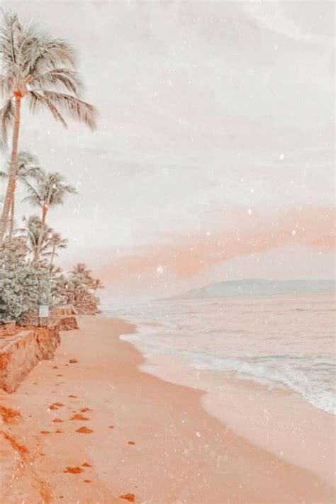 Peachy Aesthetic Beach Sunset Sand Shore Sea Ocean Palm Trees