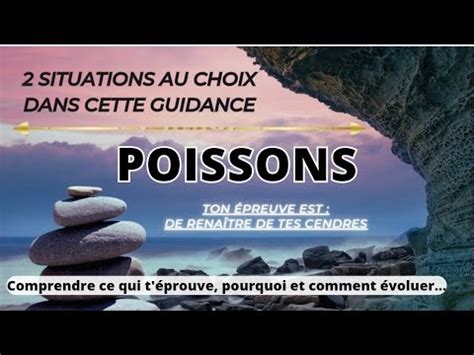 POISSONS TON ÉPREUVE EST DE RENAÎTRE DE TES CENDRES 2 situations