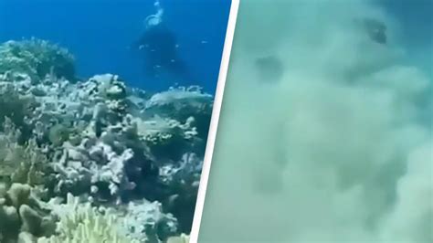 Terrifying video of what an earthquake looks like underwater is giving ...