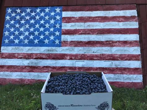 Reenders Blueberry Farms Michigan