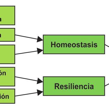 Áreas de acción para la reducción de la vulnerabilidad Download