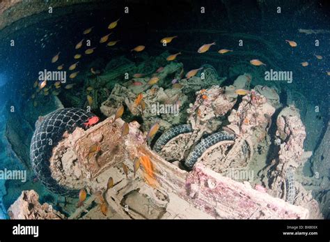 Underwater photography of a sunken ship wreck carrying a cargo of ...